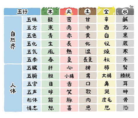 五行色体表とは|五行説の概要と人体との関係 